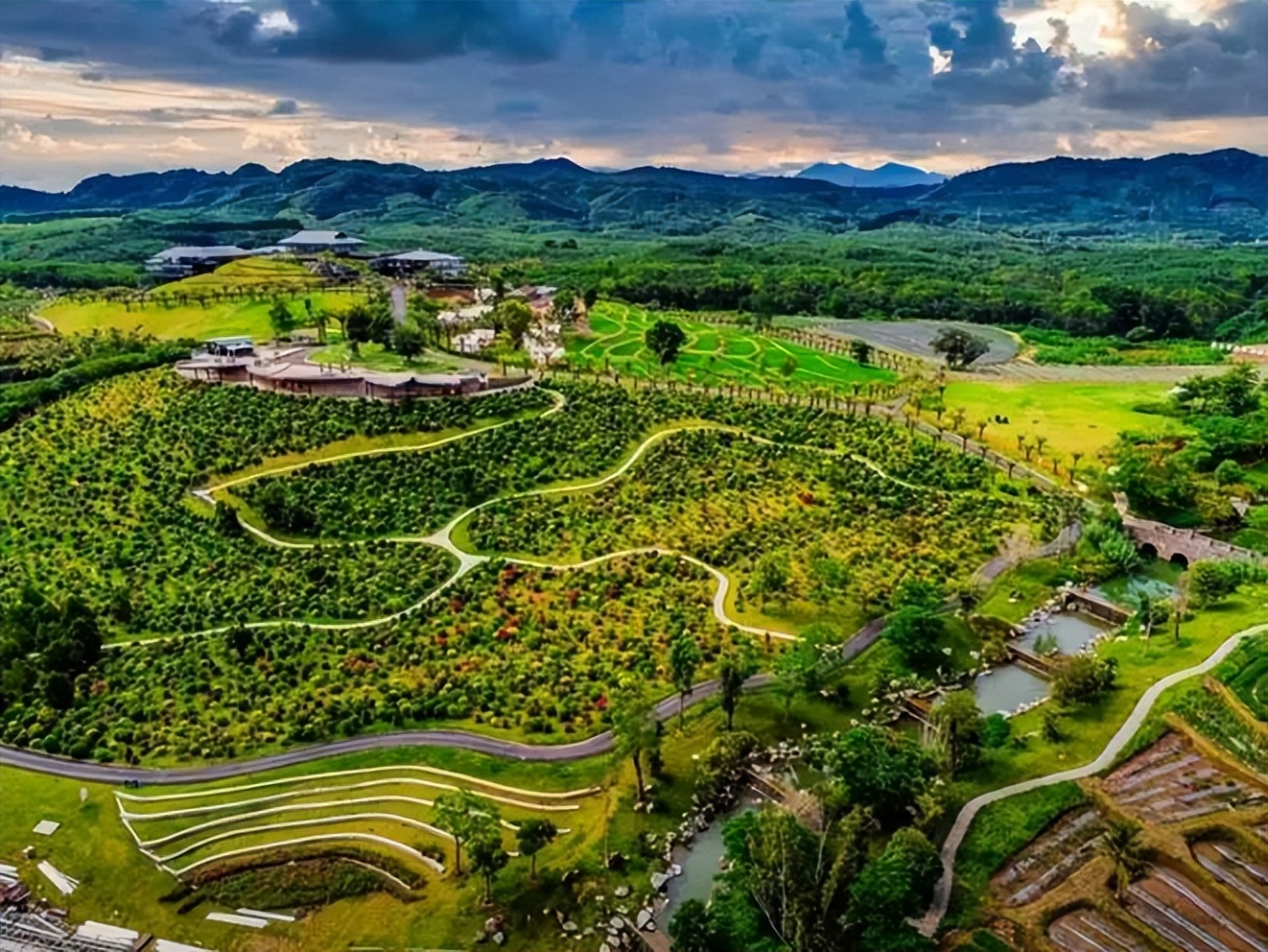 海南封关政策对农民有什么影响,海南封关后对岛内农业有何影响