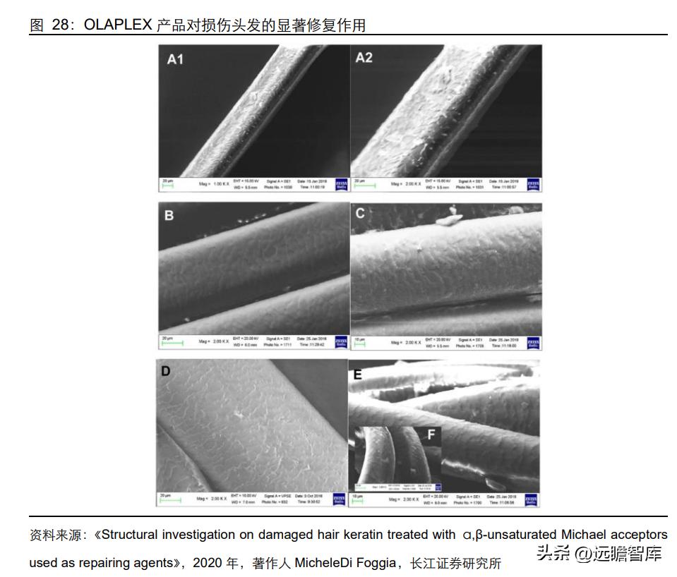 新一代高端洗护新品,高端洗护产品