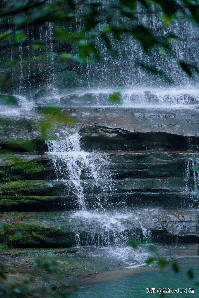 舌尖上的中国泸州古蔺椒麻鸡,古蔺麻辣鸡是哪里的特色小吃