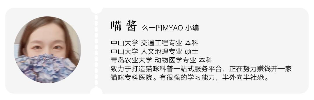 猫每天梳毛用什么梳子,哪种梳子给猫梳毛好用