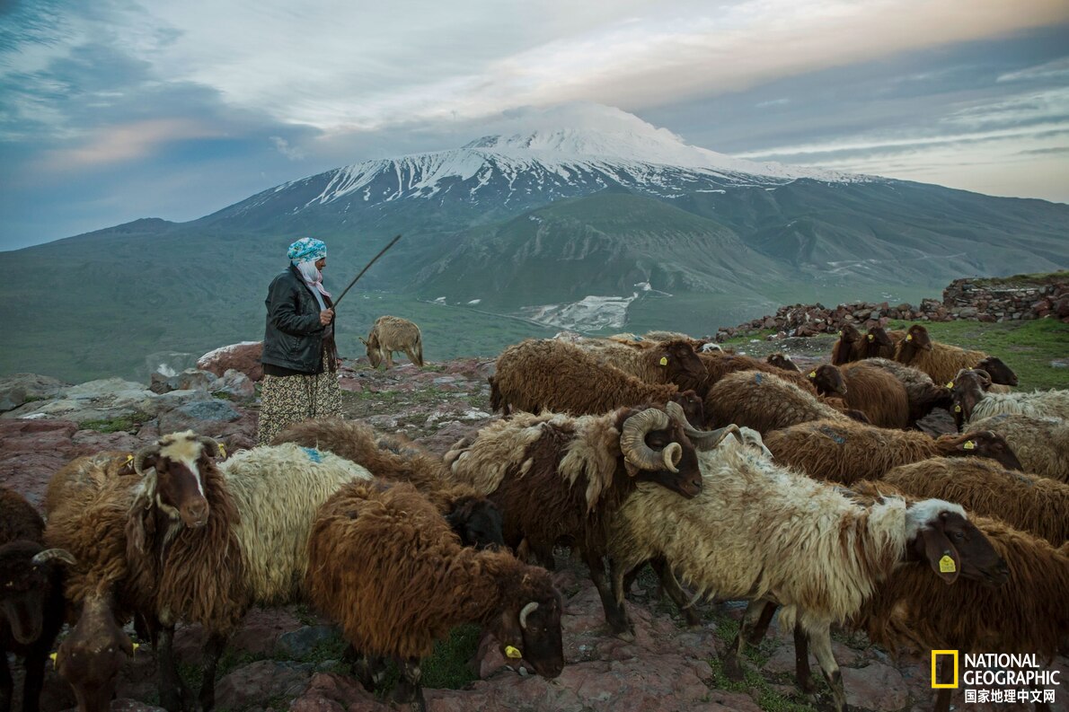 为什么一直找不到诺亚方舟？