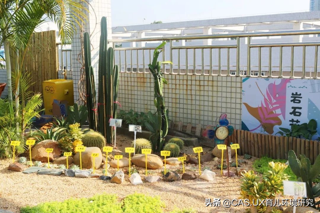 CAS儿童空间|生命花园:在校园屋顶打造感知自然的实验场