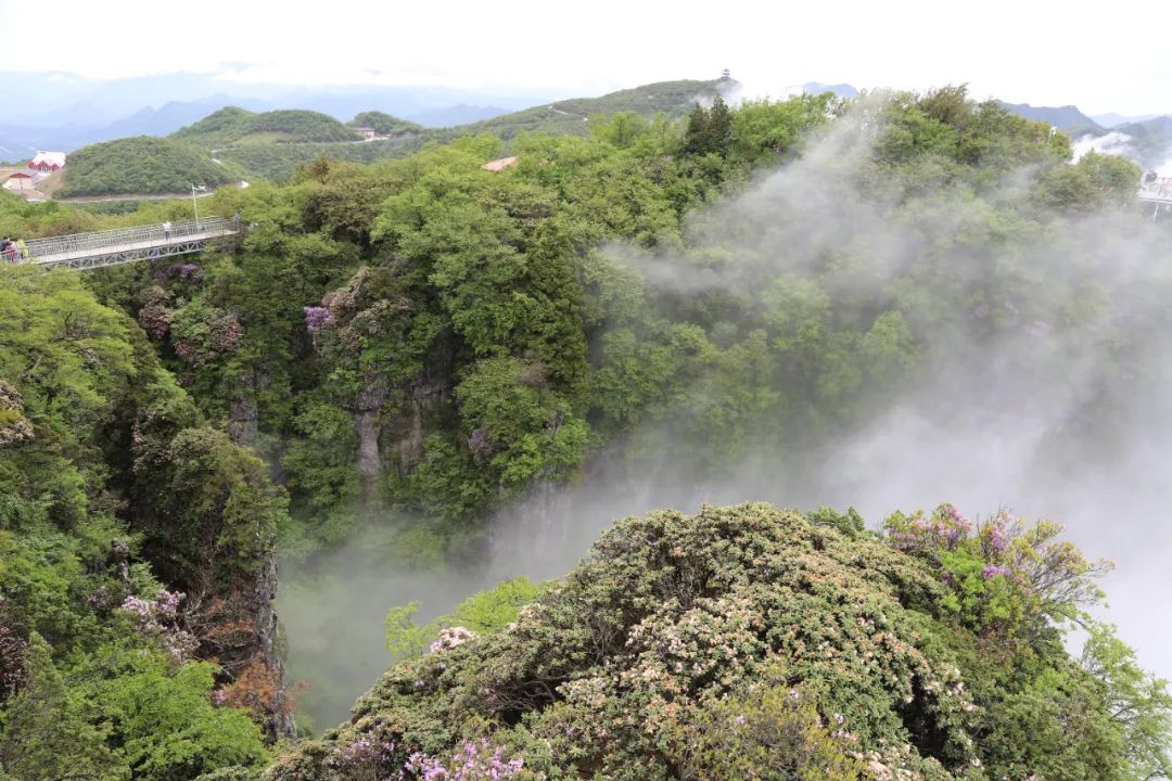 机票价格大跳水错峰出游正当时,错峰出游正当时旅游市场淡季不淡