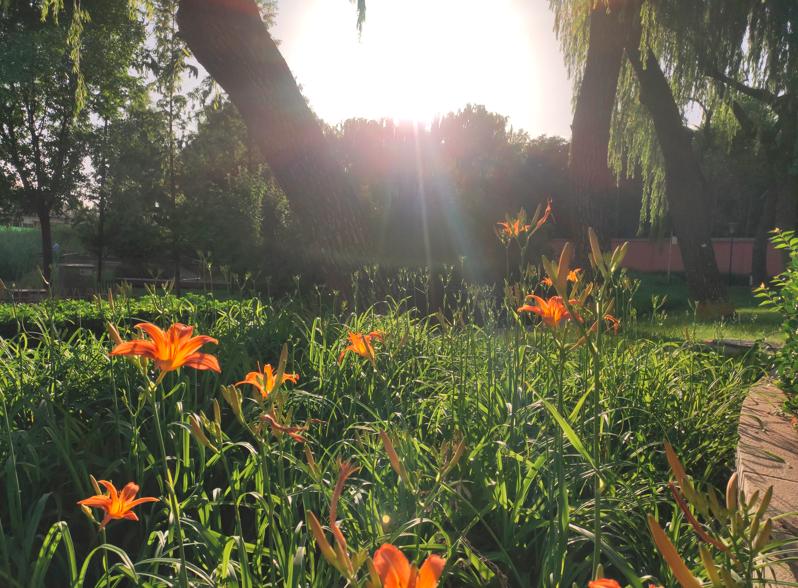 每天下午定时发烧,每天下午傍晚发烧