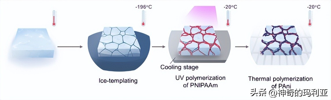磁性响应水凝胶,光热效应水凝胶