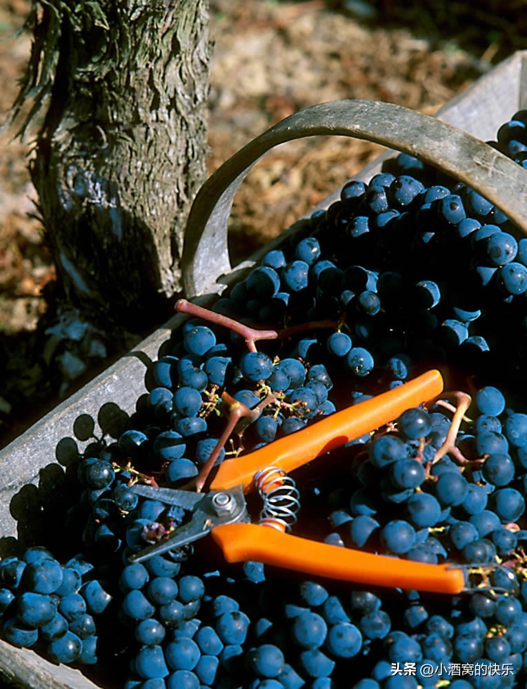 法国波尔多卡迪亚克酒庄,巴顿嘉斯蒂酒庄1725珍藏红葡萄酒