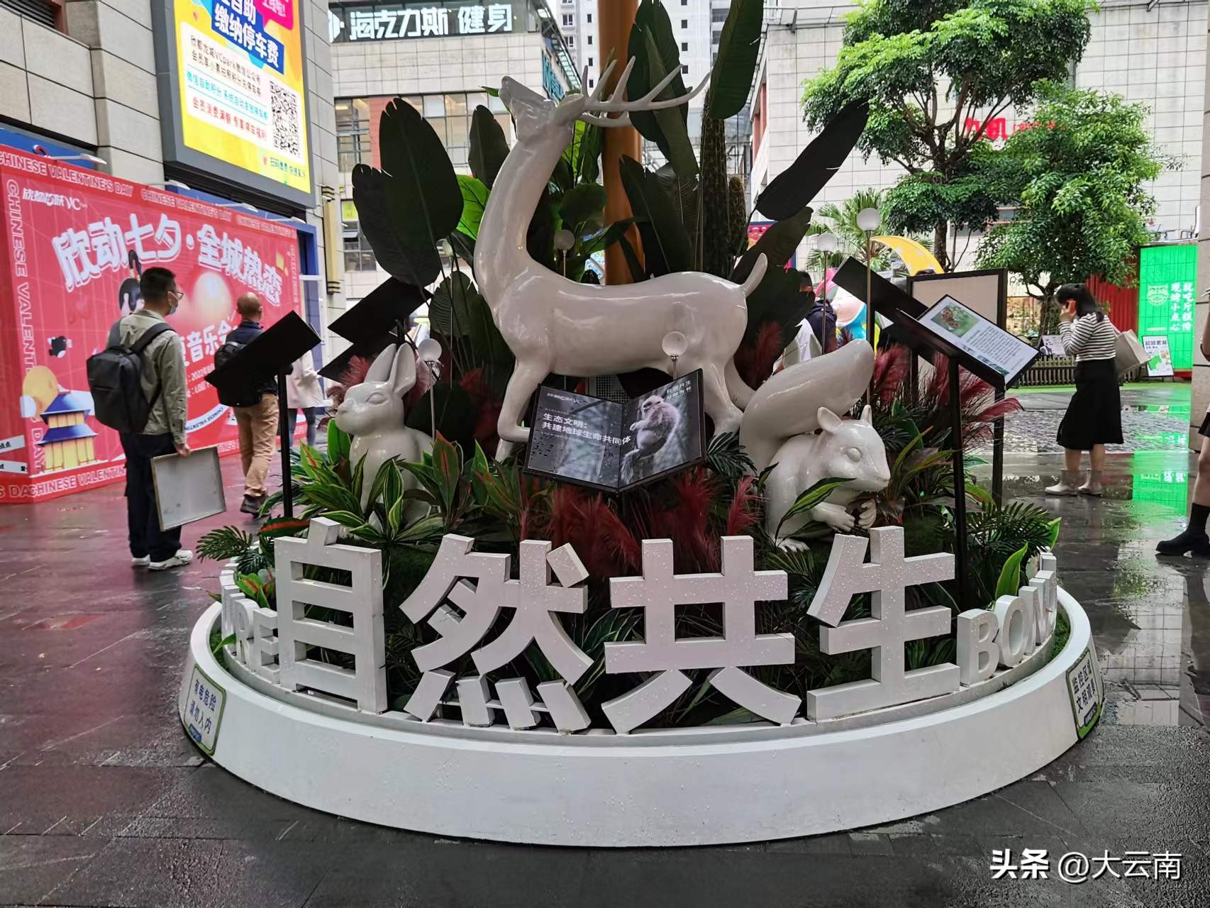 昆明欣都龙城：共谱民族和谐之曲共建民族团结商圈