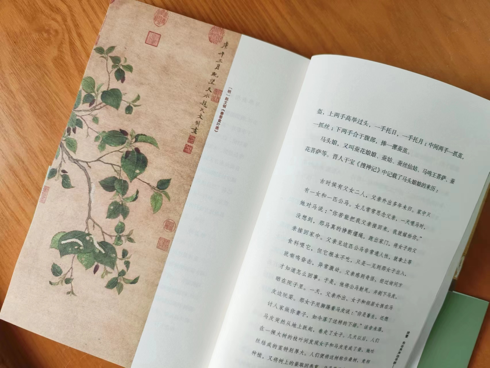 节气中的清明和传统清明,节日小科普为什么会有清明节