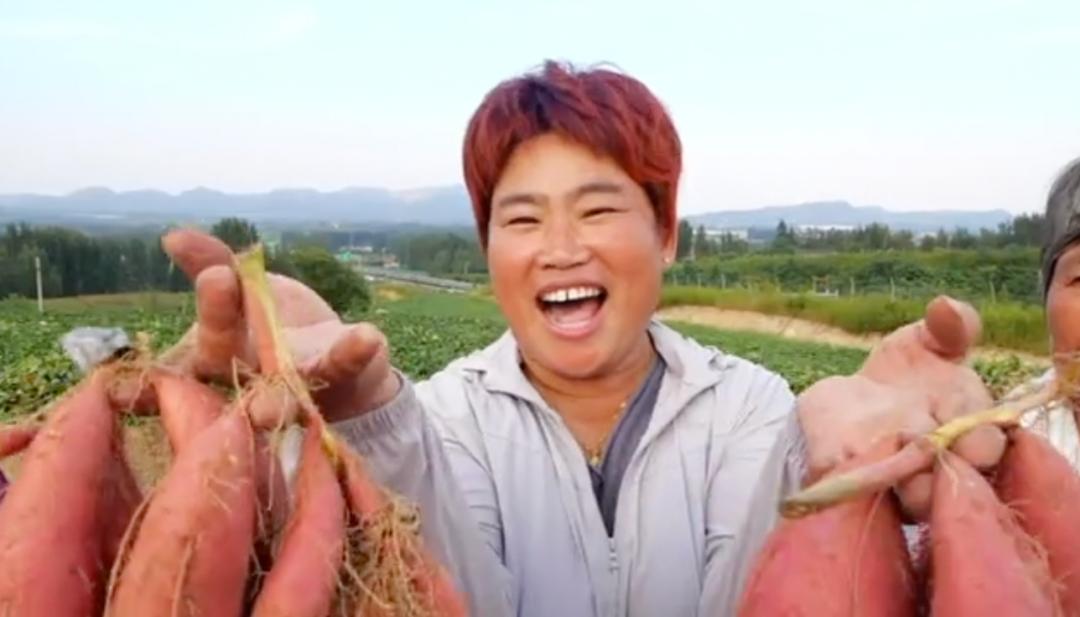 地瓜的盈利模式,地瓜如何销售市场