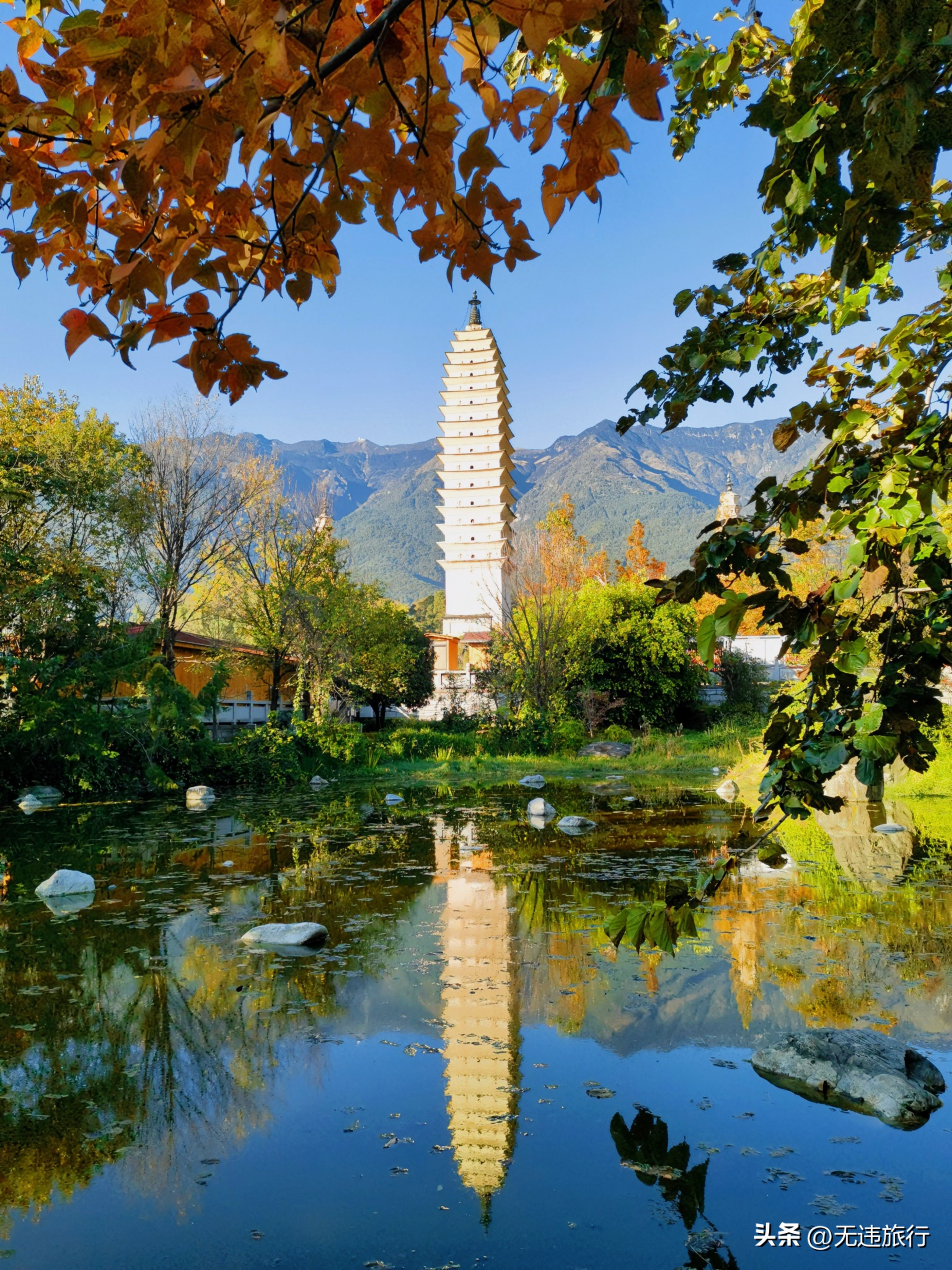 大理古城银杏叶美景,大理崇圣三塔附近景点