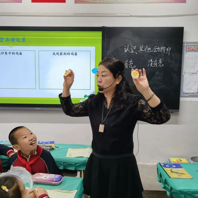 骨干教师示范引领个人工作总结,省市区优秀教师示范引领