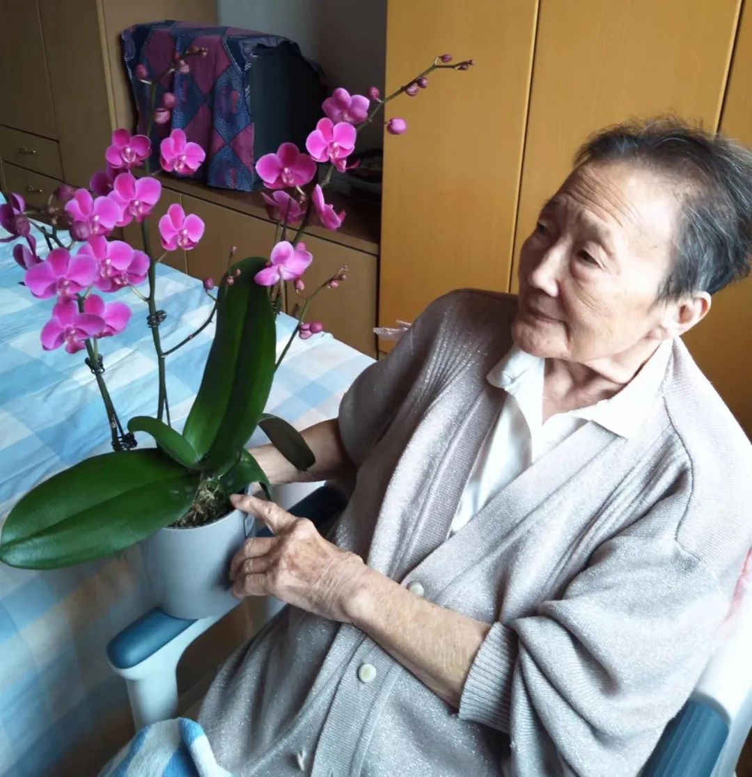 蝴蝶兰适合什么情况送,蝴蝶兰送礼一对还是一盆