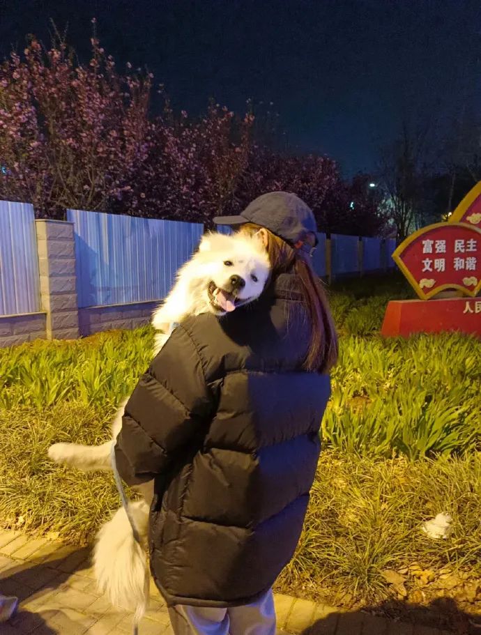 狗子坐飞机一秒钟被亲了八次，毛都快撸秃了…空姐：是不是轮到我