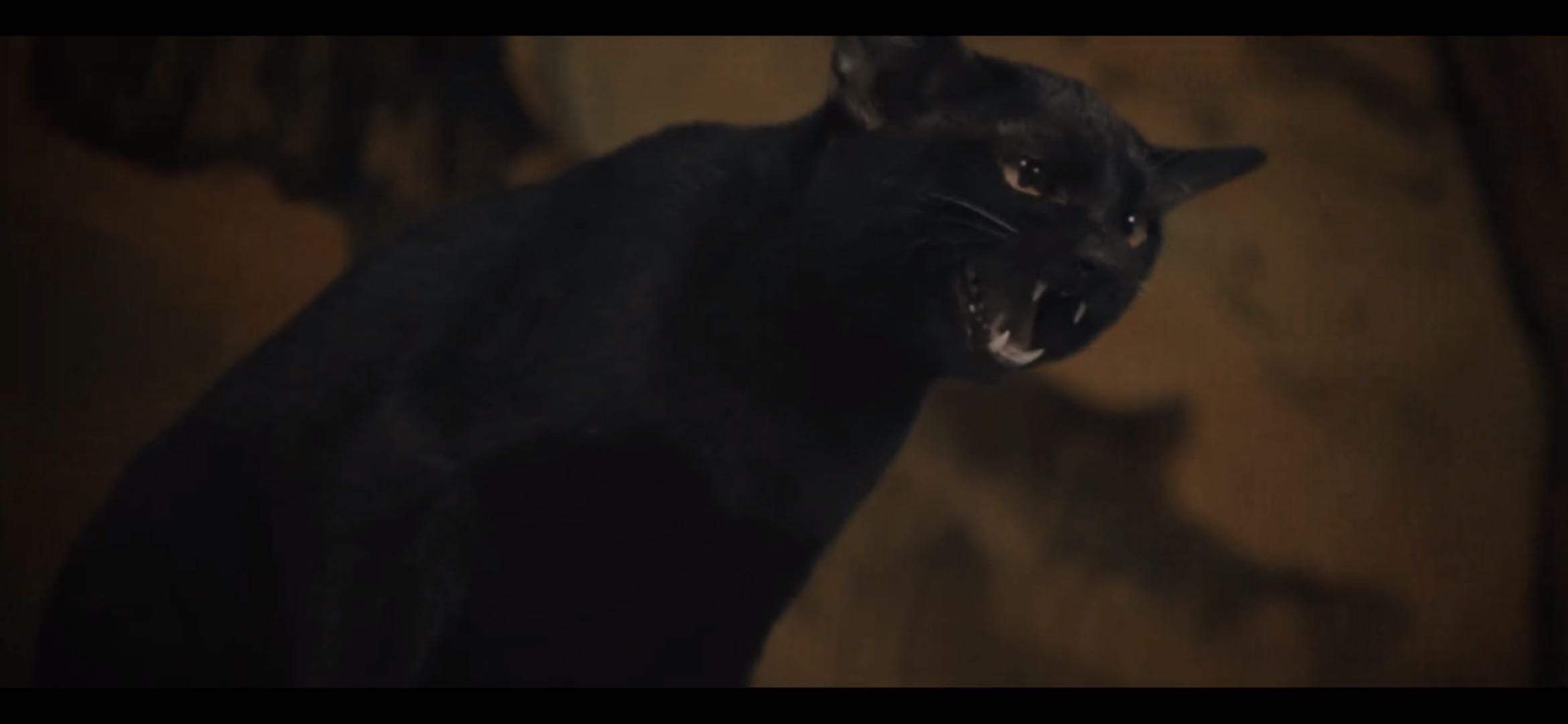 唐朝诡事录什么时候第二季,唐朝诡事录第一季第16集