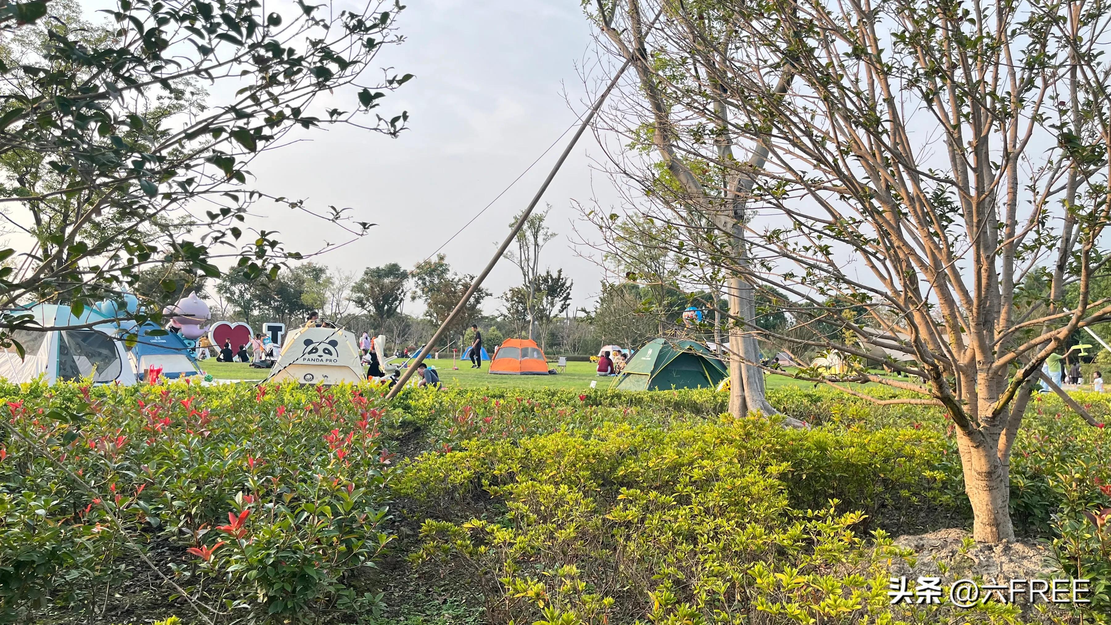 上海之鱼好玩不,上海之鱼公园游玩攻略