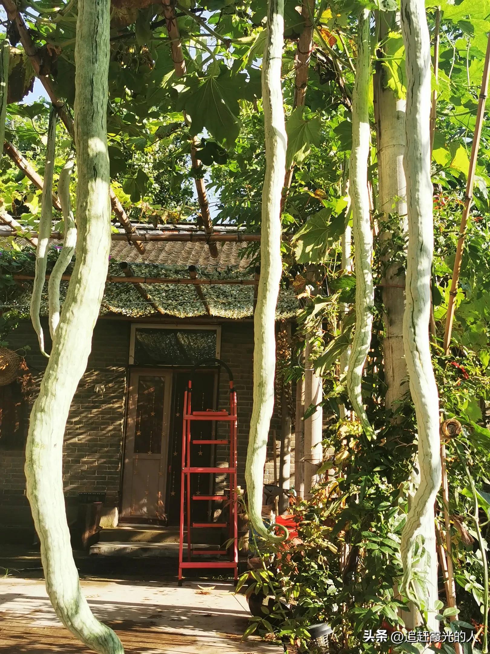 在哪里能租到北京的农家小院,北京哪里可以租农村小院