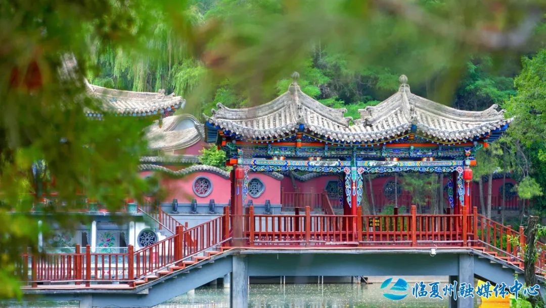 2024骞村宸磋兒閰嶈壊,缁胯壊鐨勫宸磋兒閰嶈壊