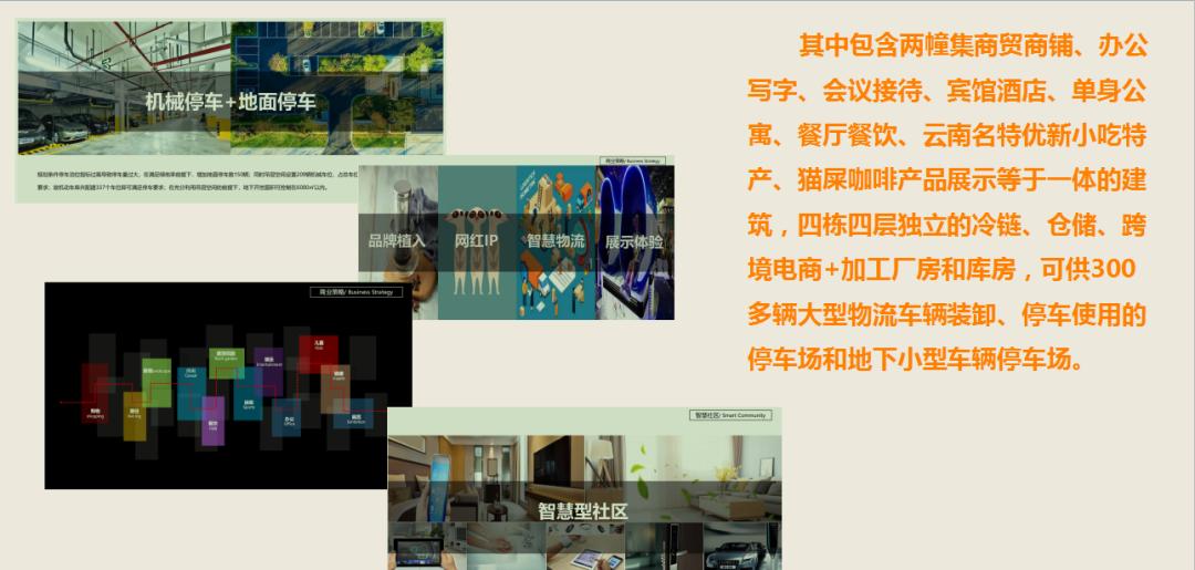 猫啡实业有限公司：看好河口发展前景，坚守河口市场