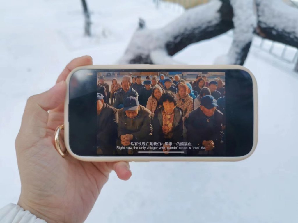 入门级nas使用心得,nas从入门到入坑精讲