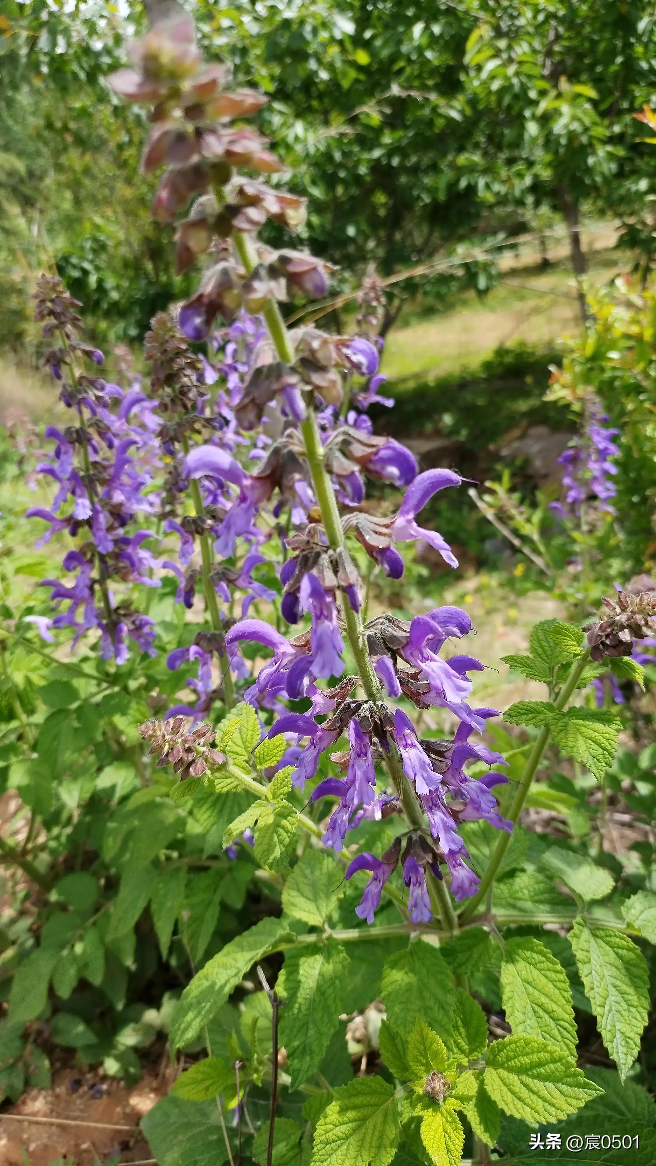 侄子生病她去探望，一瓶八块钱的矿泉水让她泪目：爸一顿饭才一块