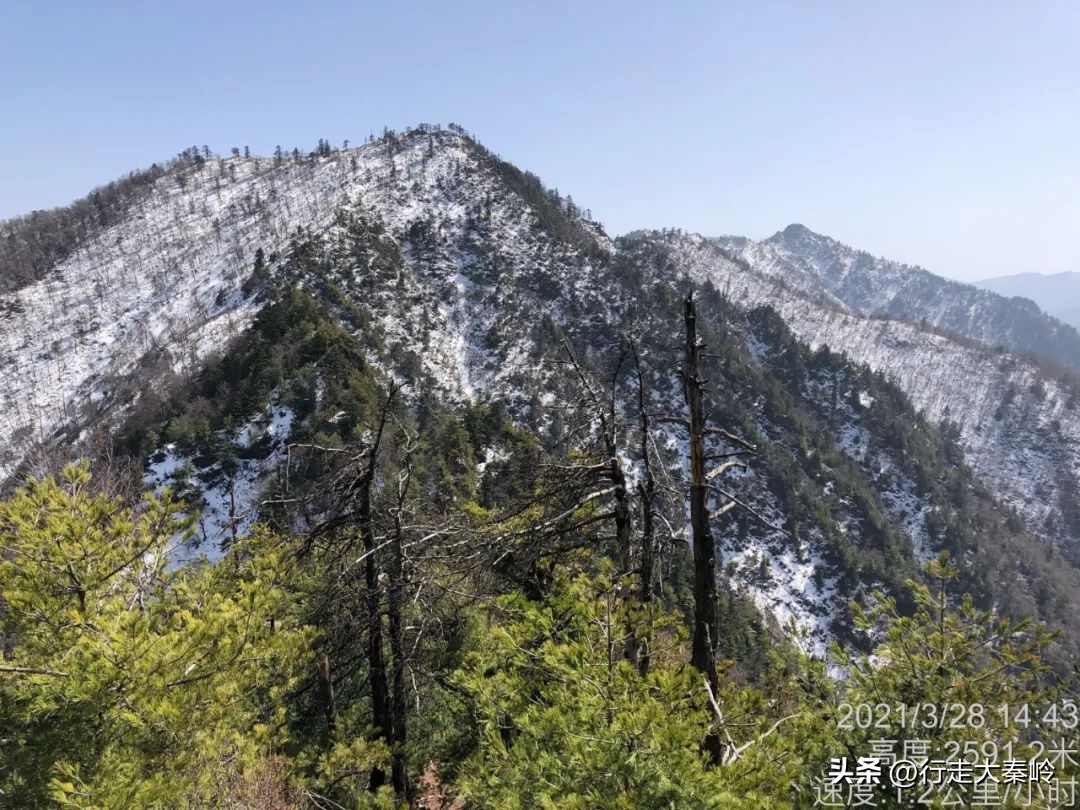 首阳山穿越大坪梁景色怎么样,大坪梁穿越到首阳山攻略