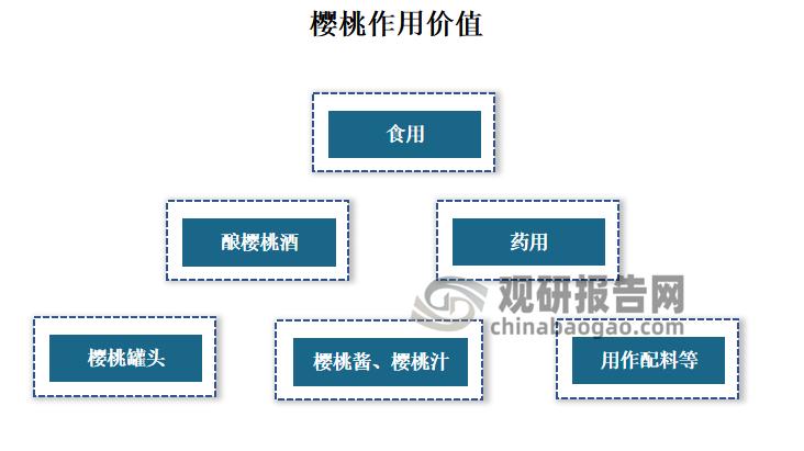 关于樱桃的市场调研方法,2022年樱桃行业报告