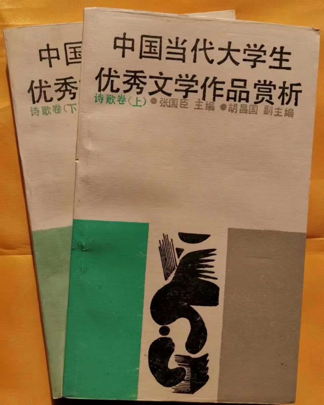 河南工学院张国臣,张国臣的圆梦与启航