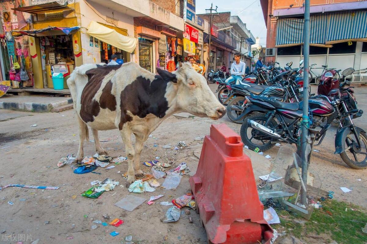 印度现状实拍视频最新,真实的印度和中国人眼中的印度