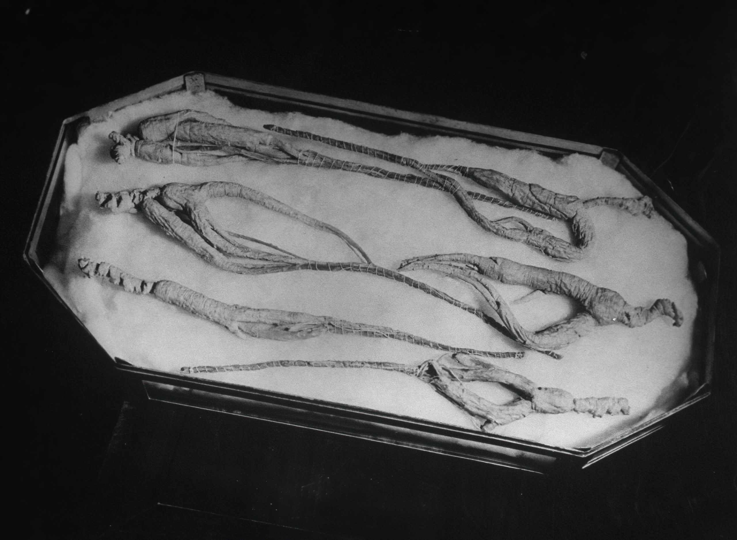 八十年前的中药,以前80年代的药品