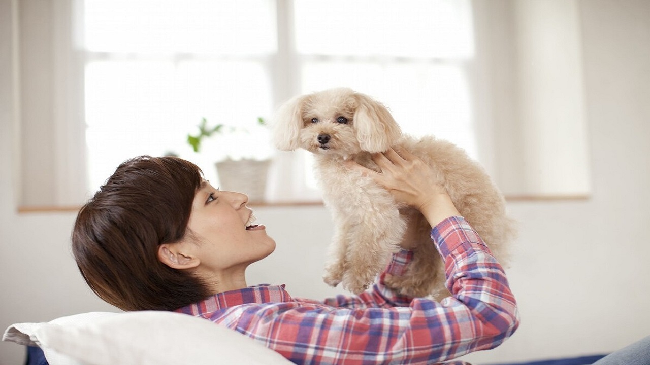 男性大量阴虱和虫卵,阴虱会寄生到身体哪些部位