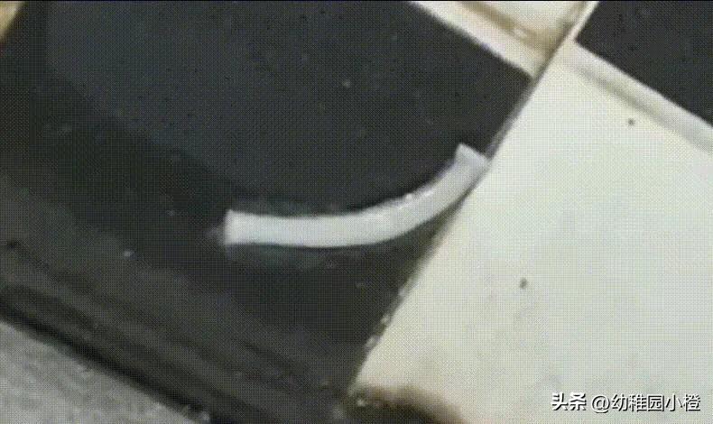 女子体内排出4米长绦虫是什么,宁德女子体内排出4米长绦虫