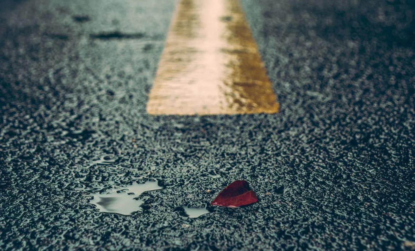 你能断舍离吗,断舍离没有人能轻易做到