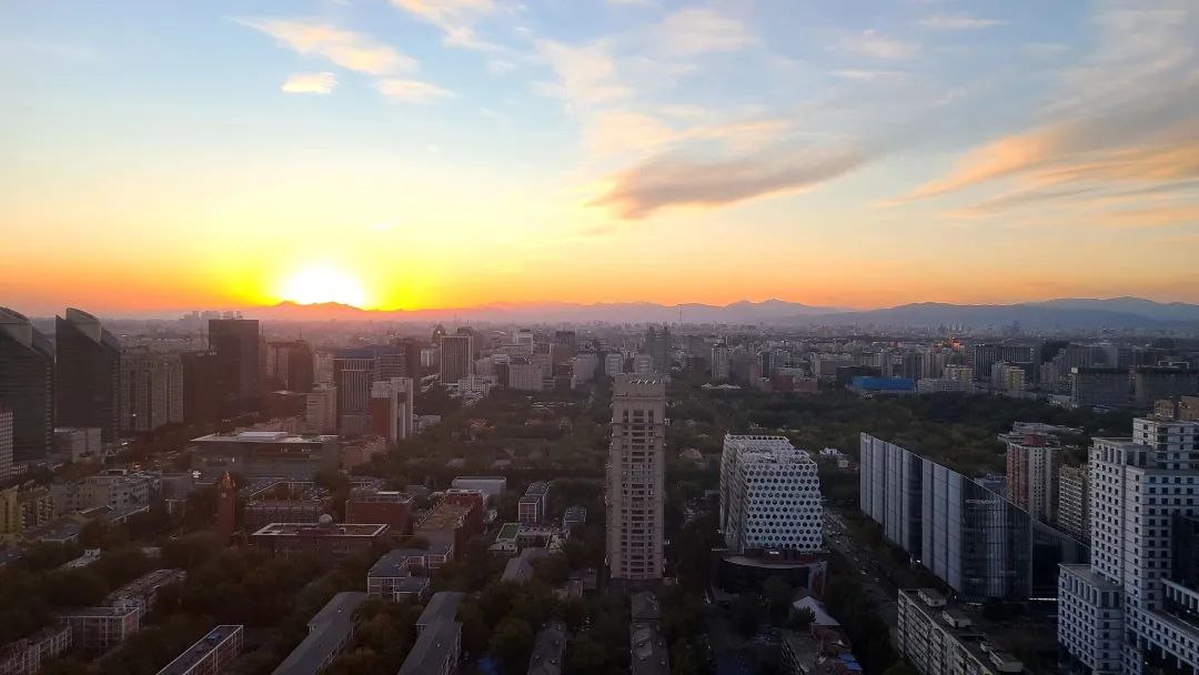 Moments｜创业者的2022：Recharge，劫后新生，海葵复苏了