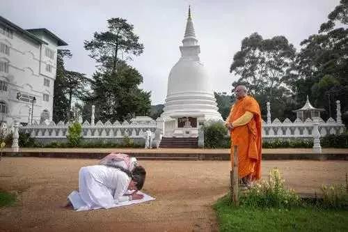 30秒斯里兰卡冷知识,你所不知道的冷知识希腊