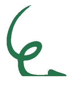 邛崃南宝山旅游攻略,邛崃旅游攻略坐车路线