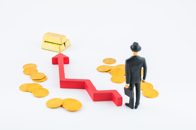 城市综合开发项目资金管控,城市综合开发ppp项目