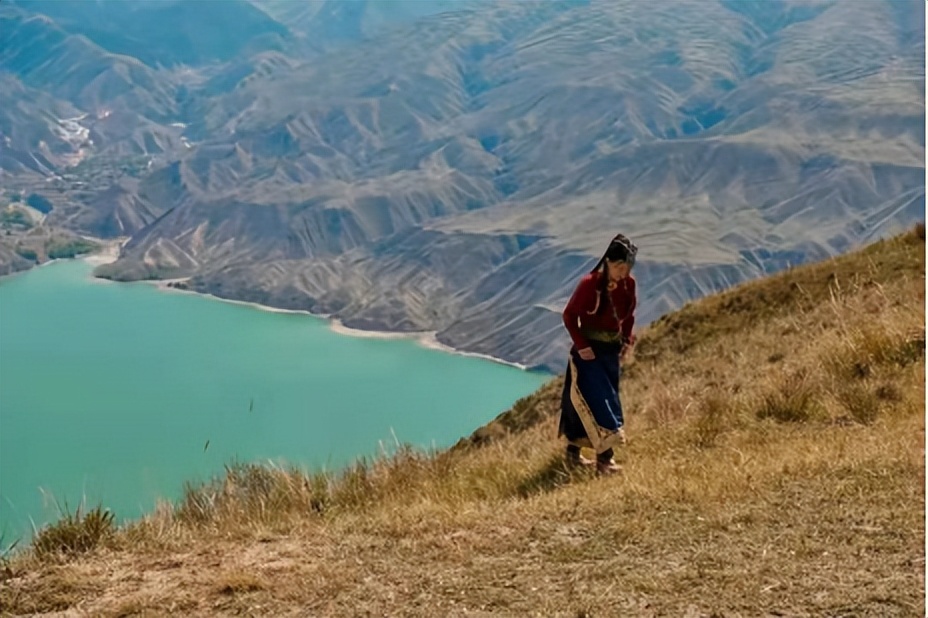 90后女孩放弃大城市，回高原当农民年销200吨枸杞，营业额上千万