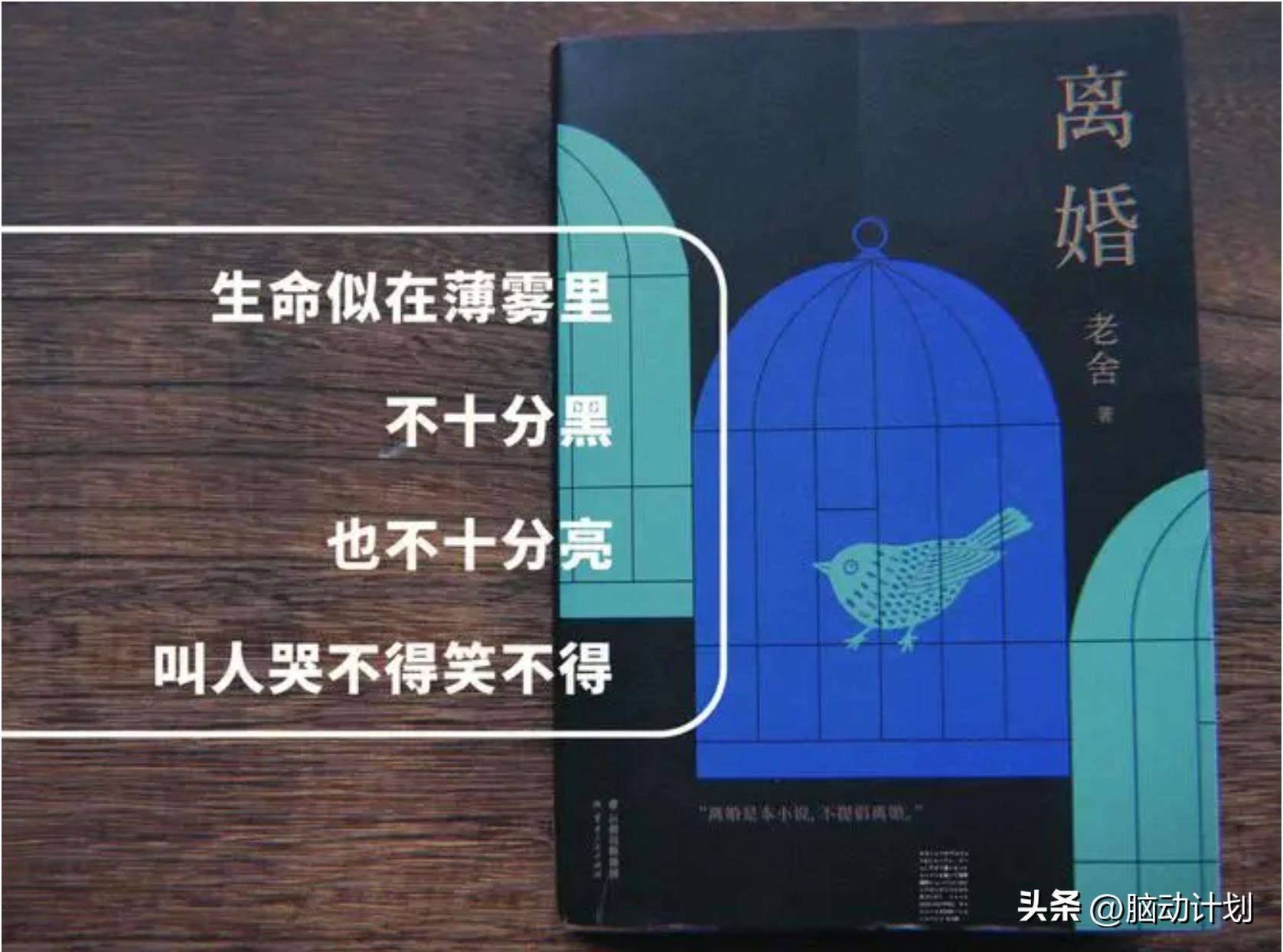 老舍作品中唯一一部爱情小说,老舍唯一的爱情小说是什么