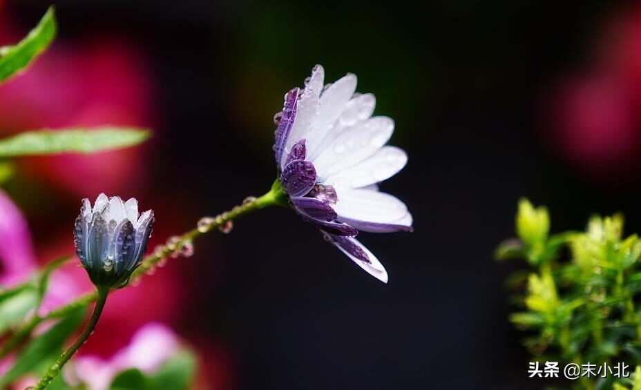 开挂必须要知道的知识,开挂需要知道的知识