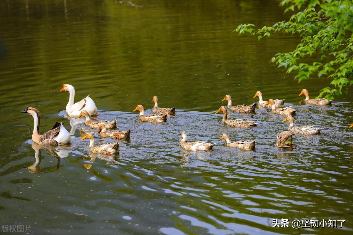 回忆童年糗事10件,我的童年糗事合集