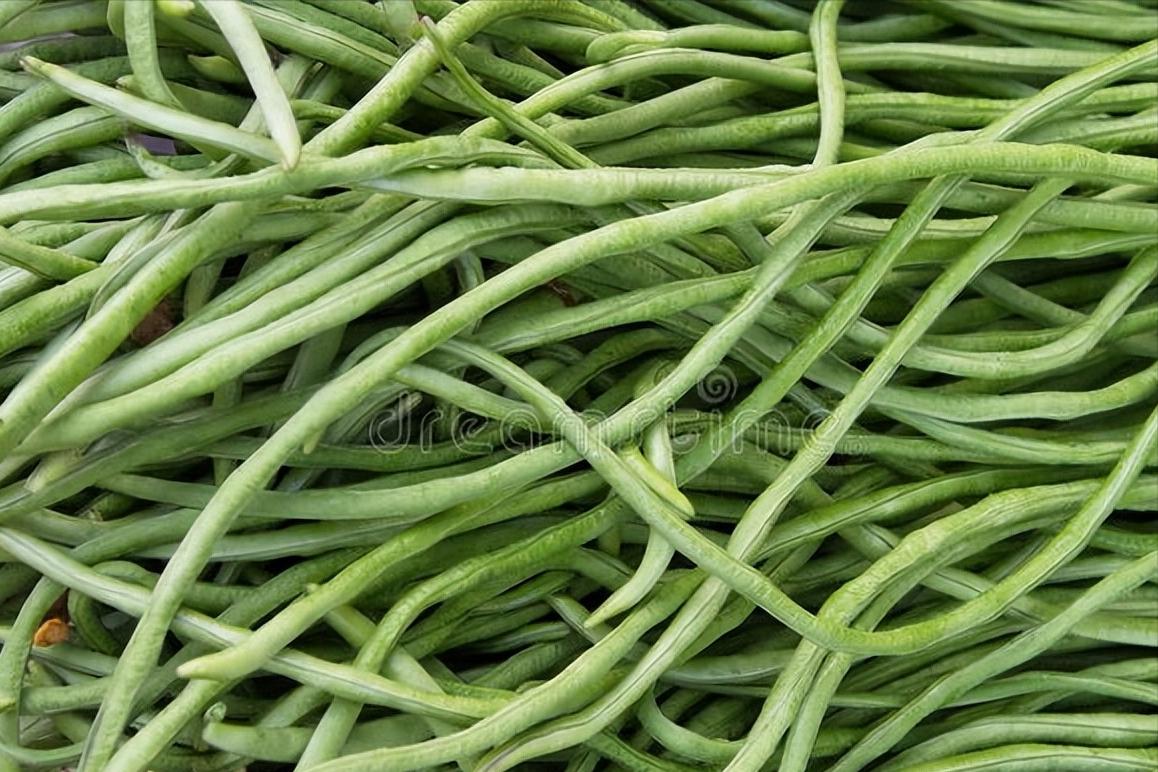 泡椒酸豆角的腌制方法放多少盐,腌酸豆角只加盐和花椒