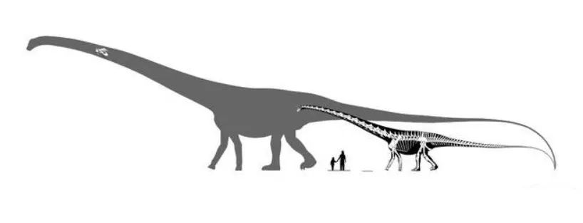 为什么恐龙体型那么大,恐龙的体型为什么那么庞大