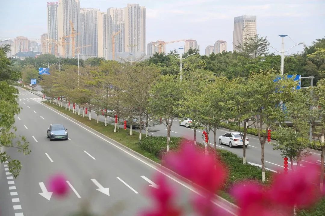 新春走基层年渐近年味浓,新春走基层石头村高挂迎客来