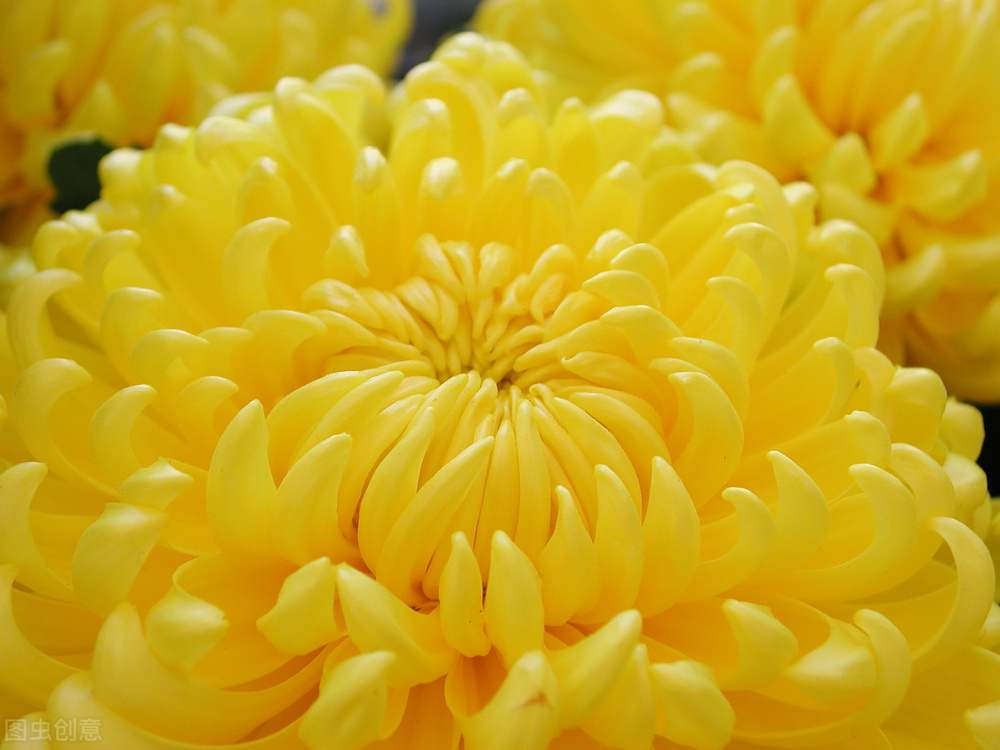 郭进栓汝州,郭进栓