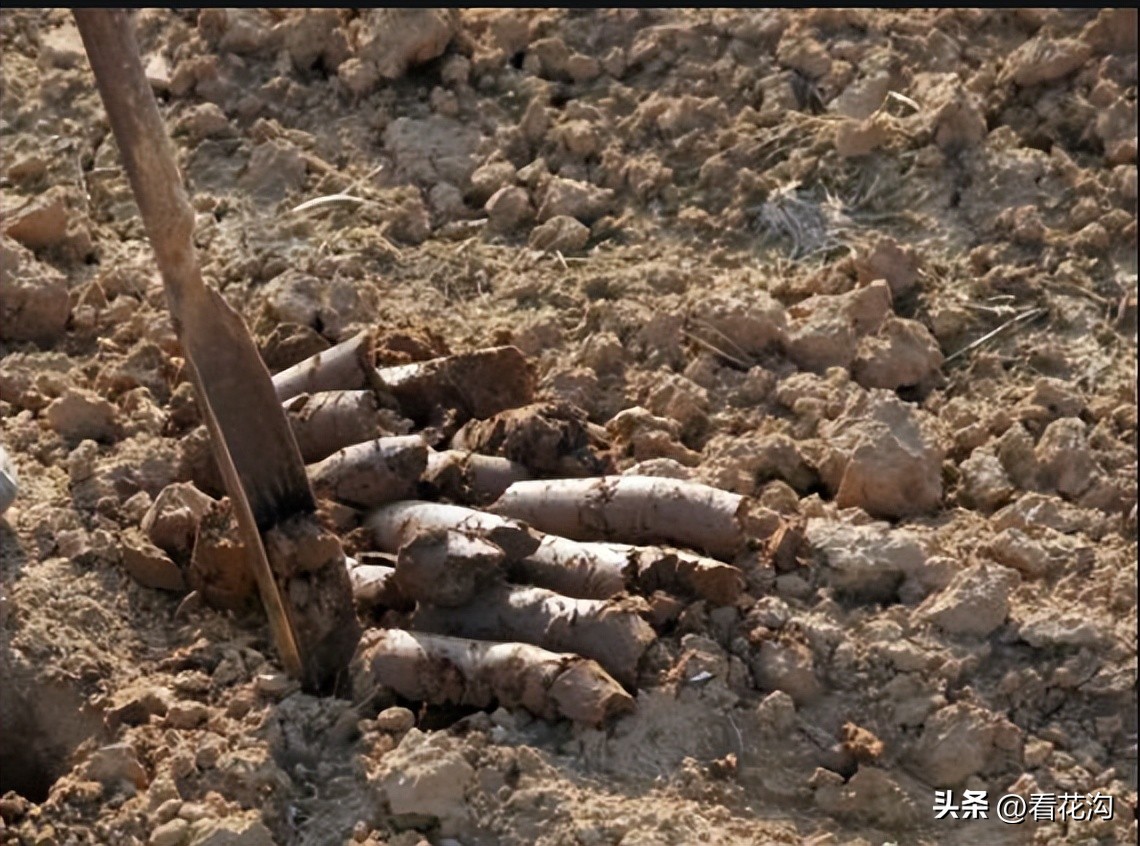 河南省漯河市舞阳县介绍视频,舞阳2007年照片