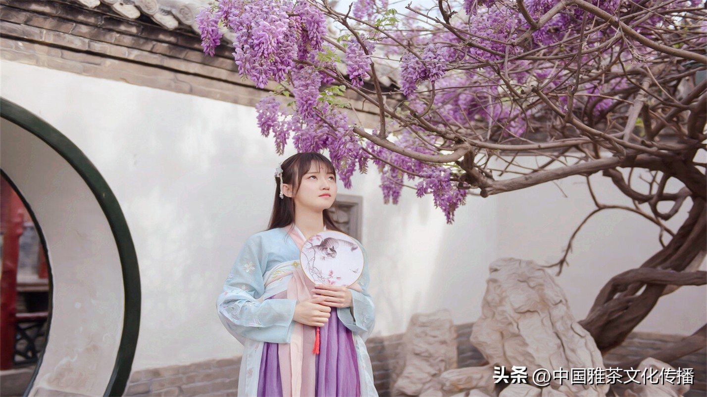 岁月与时光感悟人生,惊艳回眸的时光