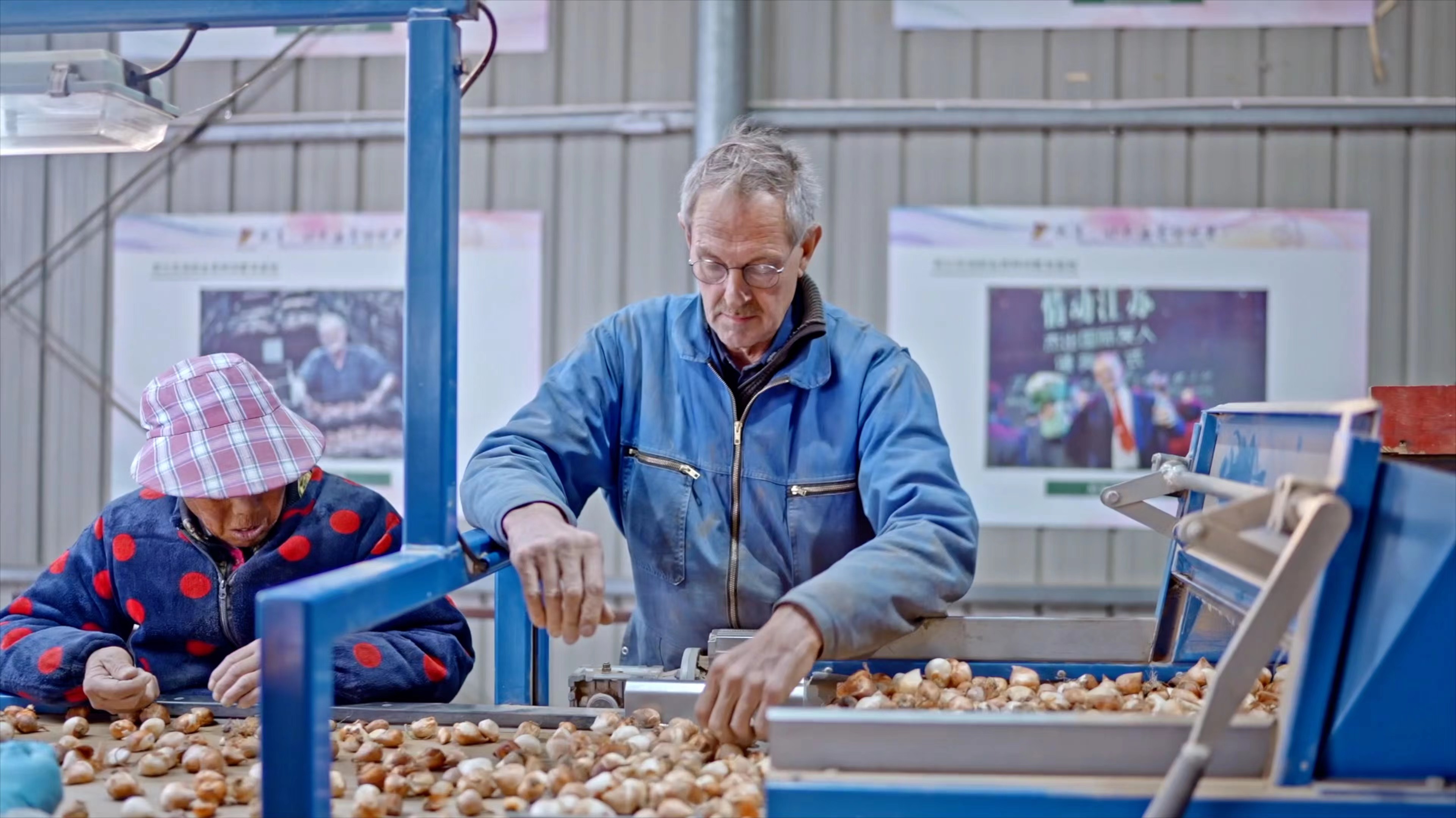 尼可：让“博爱”之花盛开在黄海之滨