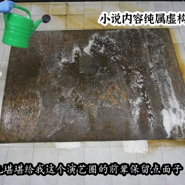 全网最狗的主播小说,我被粉丝称为最狗主播完整版