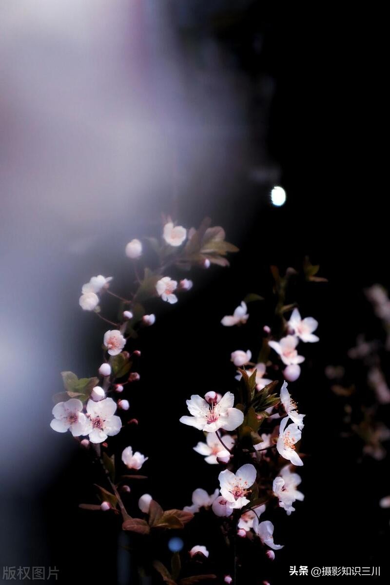 提升摄影构图功力的200个关键技巧,10个快速提高摄影技术的小技巧