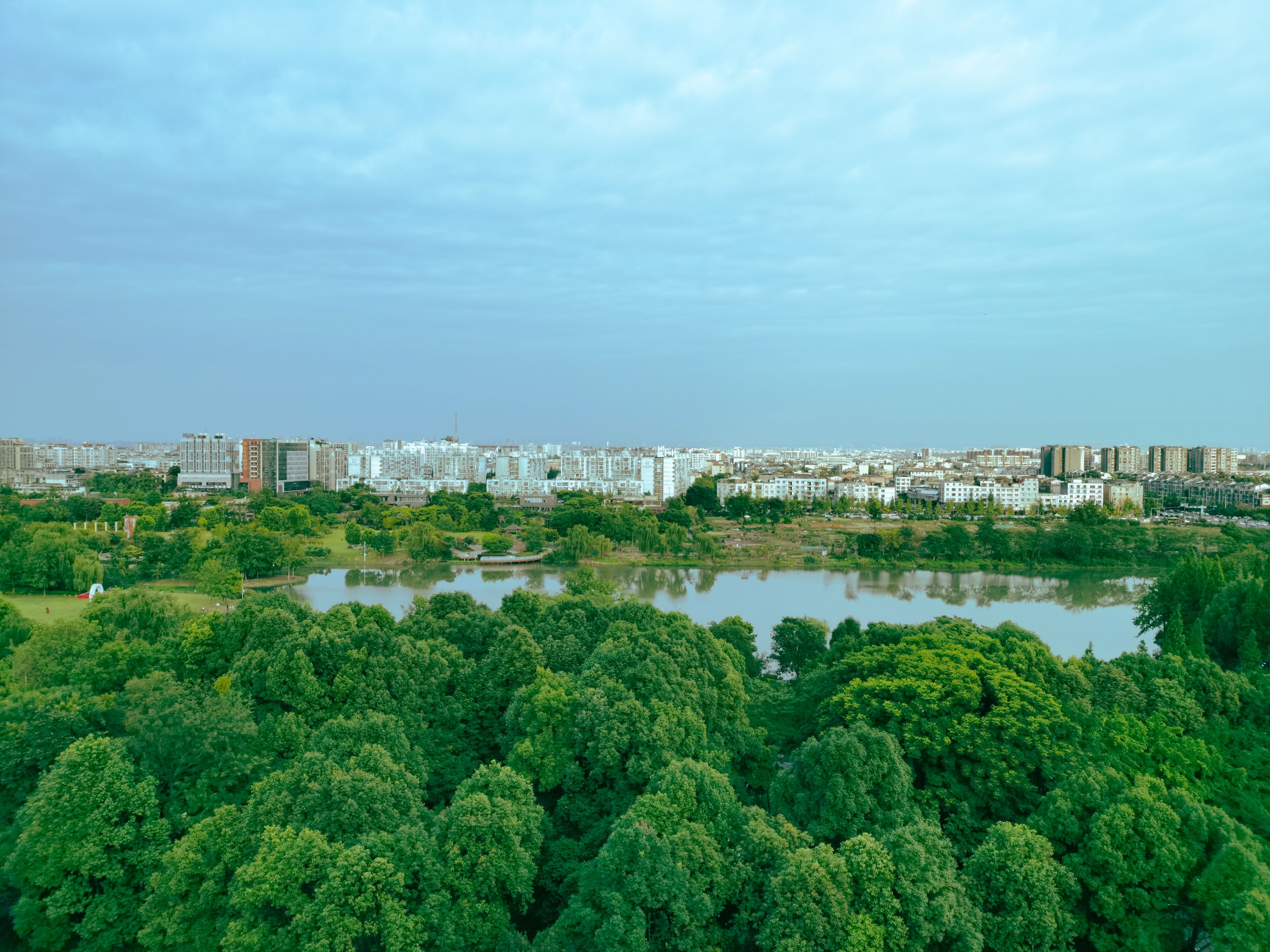 城市更新观后感,城市发展新变化的感想
